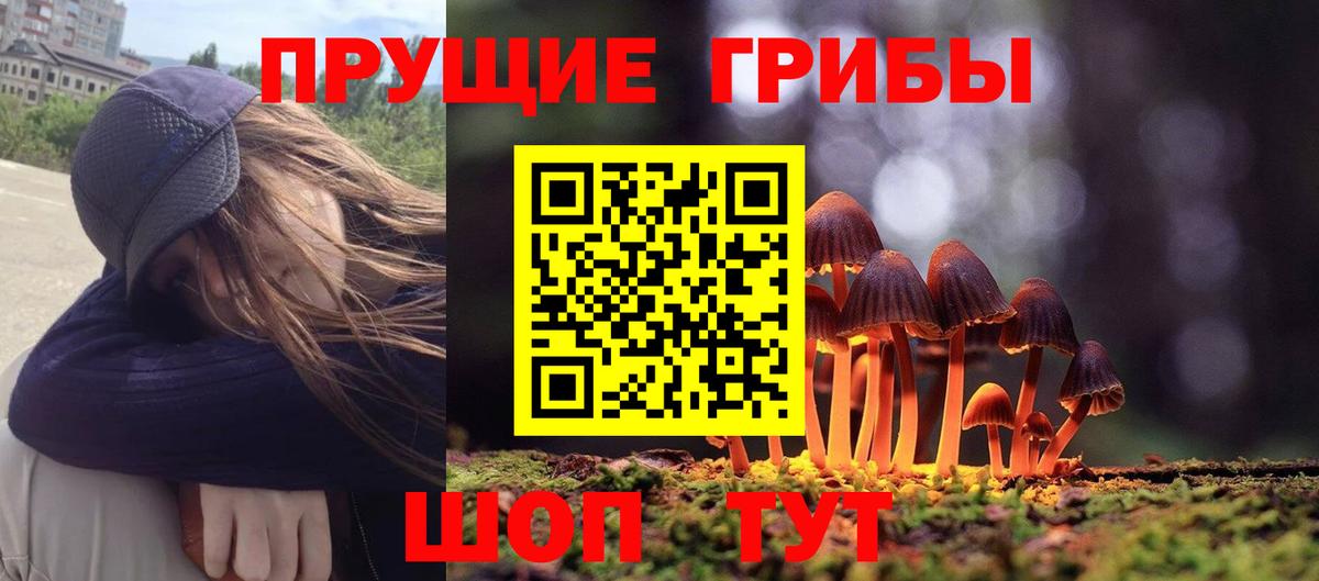 Тельмана  Псилоцибиновые грибы ЛСД  Вход с VPN 