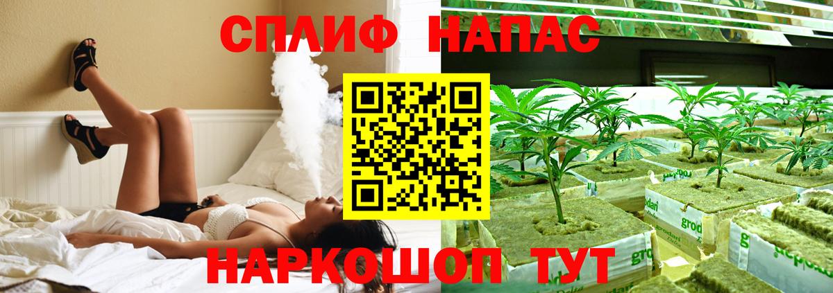 Каннабис MAZAR Тельмана